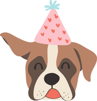 Cute Birthday dog baby boxer flat illustration png