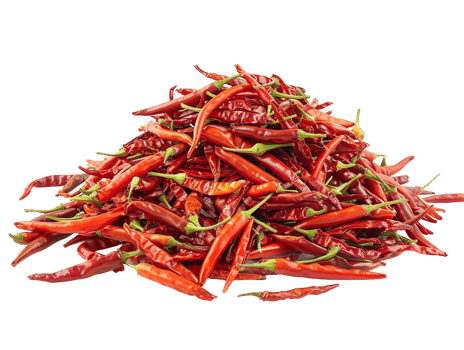 pile of chili peppers isolated against a transparent background png