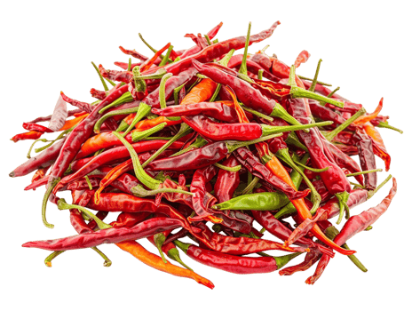 pile of chili peppers isolated against a transparent background png