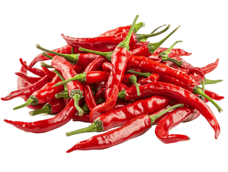 pile of chili peppers isolated against a transparent background png