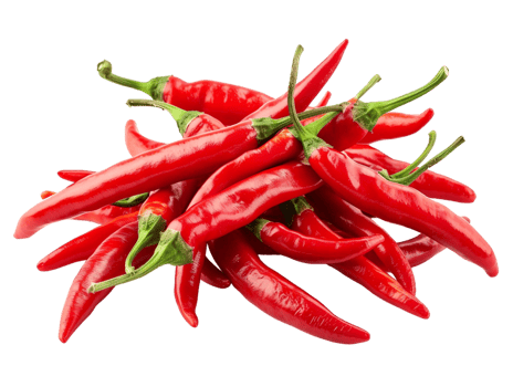 pile of chili peppers isolated against a transparent background png