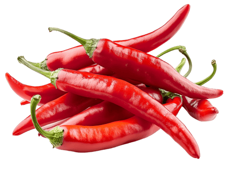 pile of chili peppers isolated against a transparent background png