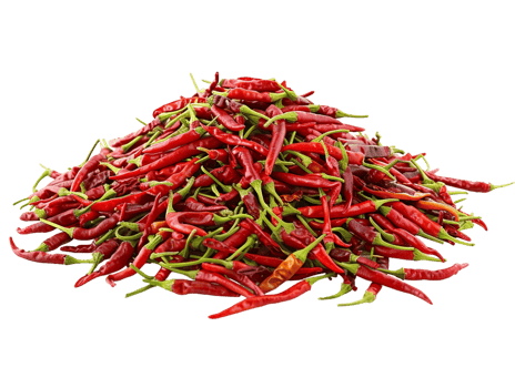 pile of chili peppers isolated against a transparent background png