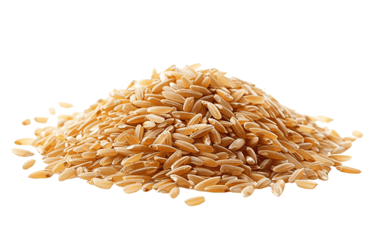Pile of brown rice grains, isolated against a transparent background png