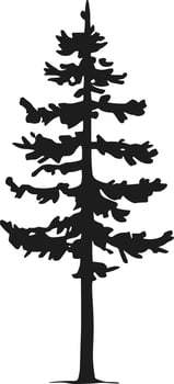 Tall Forest pine tree silhouette vector