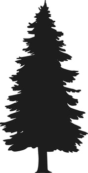 Wild Evergreen pine tree silhouette vector