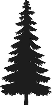 Bold Evergreen pine tree silhouette vector