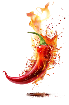 Red hot chili pepper with a splash of fire, isolated against a transparent background png
