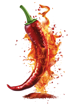 Red hot chili pepper with a splash of fire, isolated against a transparent background png