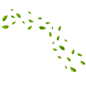 green leaves flying on wind illustration vector