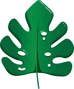 Single Monstera Leaf Isolated png
