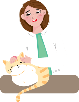 Veterinarian Caring for Animals in Veterinary Clinic Scene png