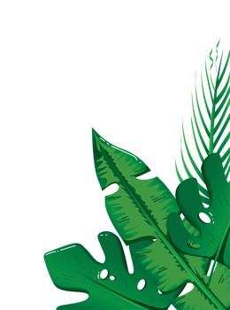 Greenery Corner Frame with Exotic Monstera and Banana Leaf Arrangement png