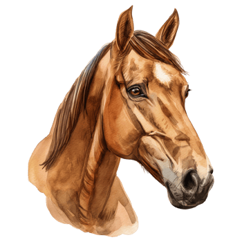 watercolor painted horse head isolated on transparent background. png