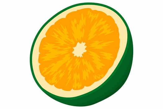 A Slice of Fresh Orange Fruit vector