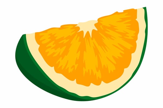A Slice of Fresh Orange Fruit vector