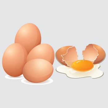 Eggs cracked egg illustration Design vector