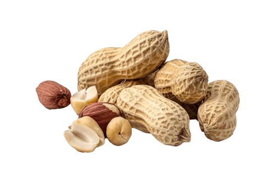peanuts and peanuts on transparent background png
