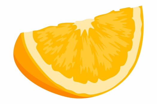 A Slice of Fresh Orange Fruit vector