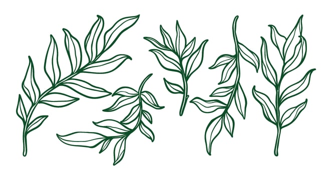 Leaf outline drawing, simple illustration of leaf, leaf draw, artistic leaf vector