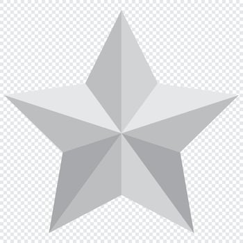 Silver star . Silver star. illustration vector