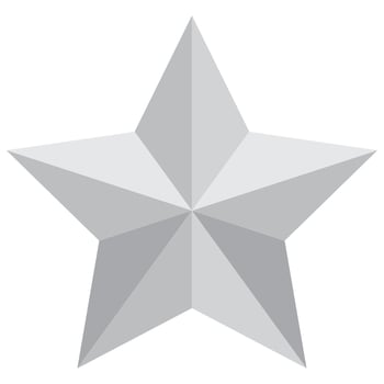 Silver star . Silver star. illustration vector