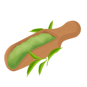 Illustration Logo Clip Art Matcha green tea powder in a wooden shovel vector