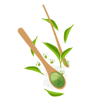 Illustration Logo Clip Art Levitation green tea Matcha powder with leaves and wooden spoon vector