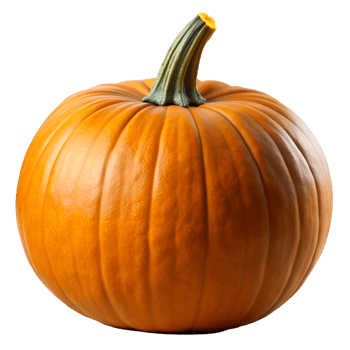 Fresh orange pumpkin isolated on transparent background png