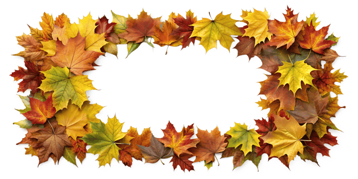 Colorful fall leaves rectangular frame on transparent background png
