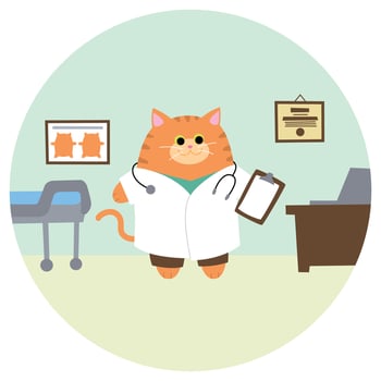 Colorful cartoon illustration of round kitty doctor. Funny cat looking at medican charts. Cute characters animals with jobs. Flat colors vector