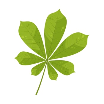 Light green autumn leaf. vector