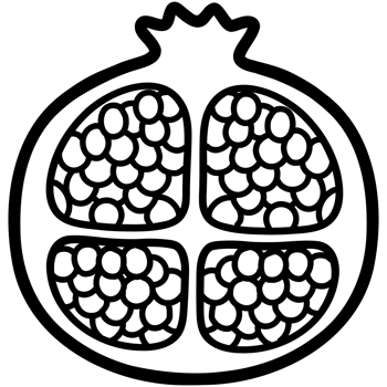 Fresh pomegranate doodle png