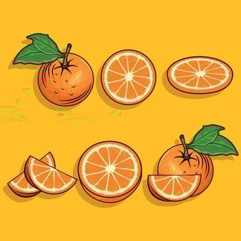Beautiful concept part of fruits orange vector