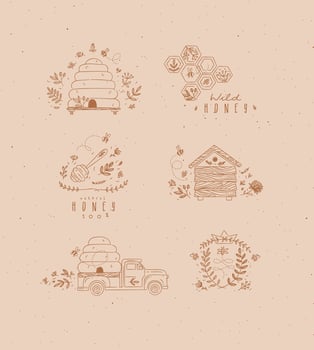 Honey collection of labels, beehive, honeycomb, spoon with flower and branches drawing in graphic style on beige background vector
