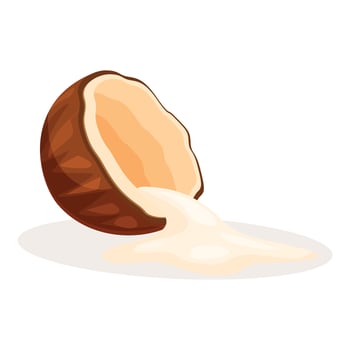 Cracked coconut pouring coconut milk onto surface vector