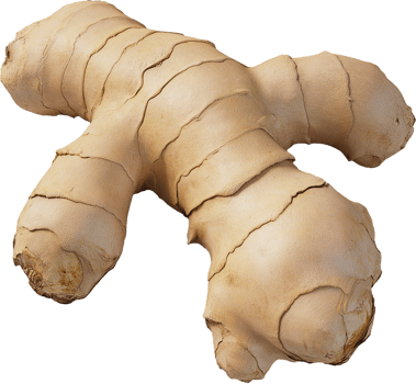 Fresh Ginger Spice Isolated on White Background png