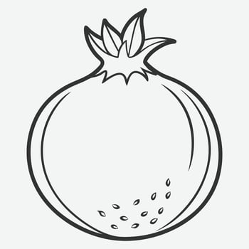 Elegant Pomegranate Line Art Illustration vector