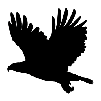 Black Eagle - Eagle Drawing - Eagle Clipart png