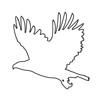 Eagle Outline - Hand Drawn Eagle - Eagle Clipart png