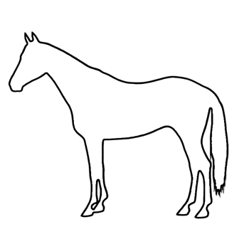 Horse Drawing - Horse Clipart - Horse Outline png