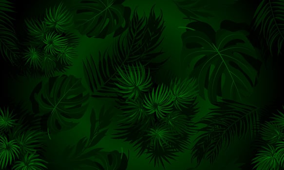 Hawaiian seamless pattern with tropical leaves in realistic style. botanical illustration on dark green background. vector