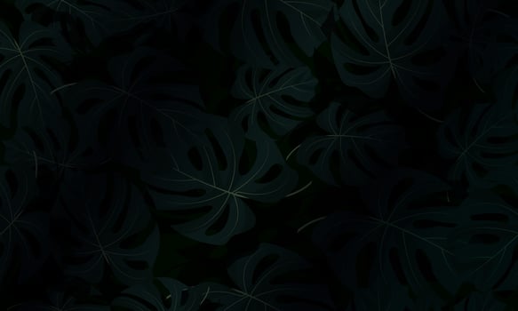 Hawaiian seamless pattern with exotic palm leaves. Tropical plants in realistic style. botanical illustration on a black background. dark green nature. vector