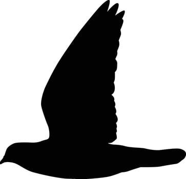 Pigeon flying pose silhouette vector