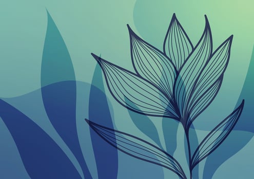 Floral flower blue soft line tropical background vector