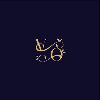 organic and elegant concept VO beauty leaf monogram logo letter wedding initial vector