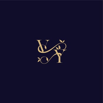 organic and elegant concept VY beauty leaf monogram logo letter wedding initial vector