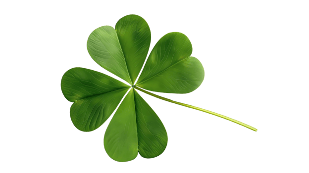 Four Leaf Clover Illustration on transparent Background png