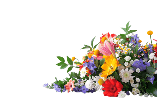 Vibrant Bouquet of Flowers with a Transparent Background png