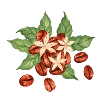 Composition of coffee beans with leaves and flowers. Clipart of Robusta and Arabica varieties. Illustration with watercolor and marker. Coffee day.Hand drawn isolated art. Production, harvesting vector